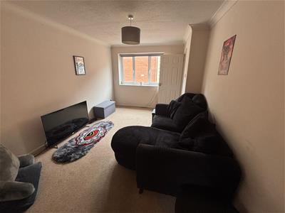 Picture 5